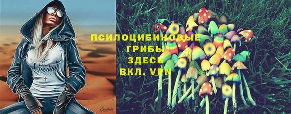 ECSTASY Мегион